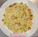 Best Salt Fish Chicken Fried Rice 咸鱼鸡粒炒饭 in Colorado Springs, CO